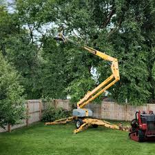 Best Tree Disease Treatment  in Blplay, AL