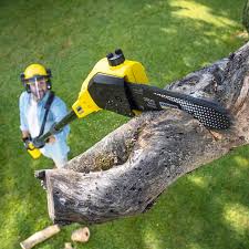 Lawn Pest Prevention in Ballplay, AL