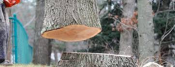 Best Commercial Tree Services  in Blplay, AL